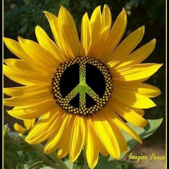 Meet your Posher, Tracy - Picture 1 of 1